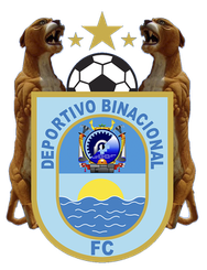 比纳国际