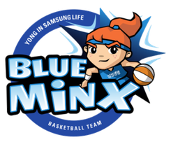龙仁三星女篮